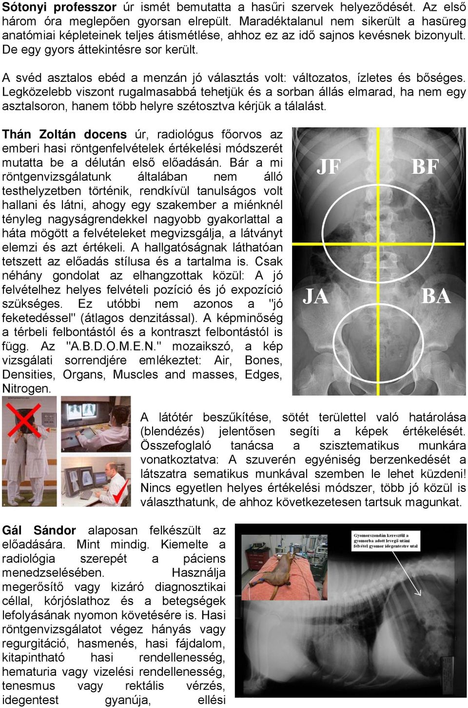 A svéd asztalos ebéd a menzán jó választás volt: változatos, ízletes és bőséges.