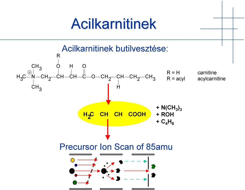 2 CH 3 R = acyl acylcarnitine CH 3 H H 2 C CH CH COOH