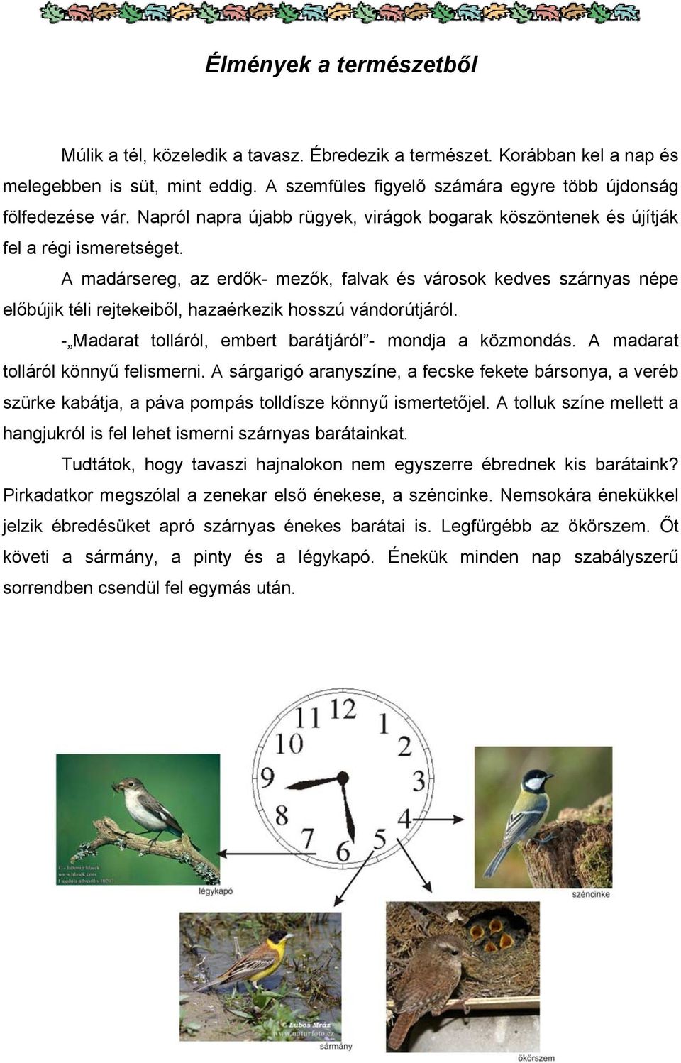 A madársereg, az erdők- mezők, falvak és városok kedves szárnyas népe előbújik téli rejtekeiből, hazaérkezik hosszú vándorútjáról. - Madarat tolláról, embert barátjáról - mondja a közmondás.