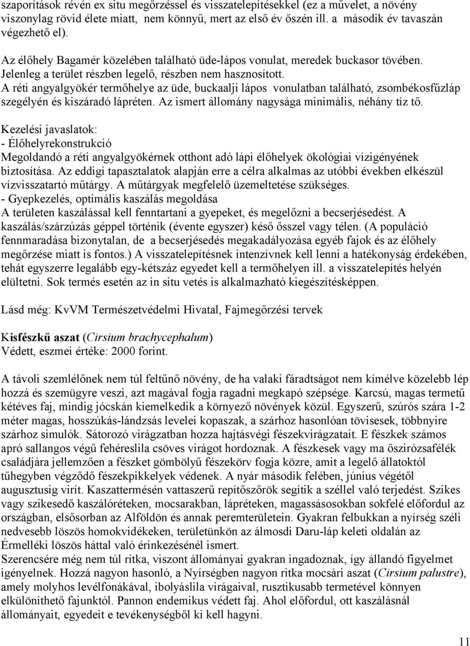 A réti angyalgyökér termőhelye az üde, buckaalji lápos vonulatban található, zsombékosfűzláp szegélyén és kiszáradó lápréten. Az ismert állomány nagysága minimális, néhány tíz tő.