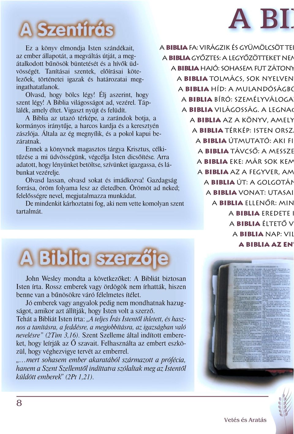 A Biblia híd: a mulandóságbó Olvasd, hogy bölcs légy! Élj aszerint, hogy szent légy! A Biblia világosságo