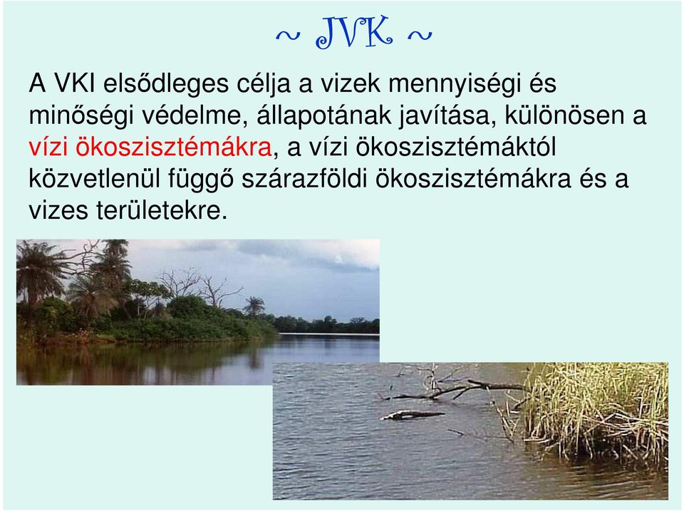 vízi ökoszisztémákra, a vízi ökoszisztémáktól