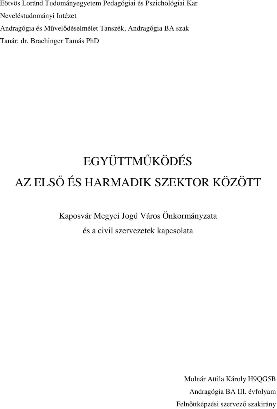 Brachinger Tamás PhD EGYÜTTMŰKÖDÉS AZ ELSŐ ÉS HARMADIK SZEKTOR KÖZÖTT Kaposvár Megyei Jogú Város