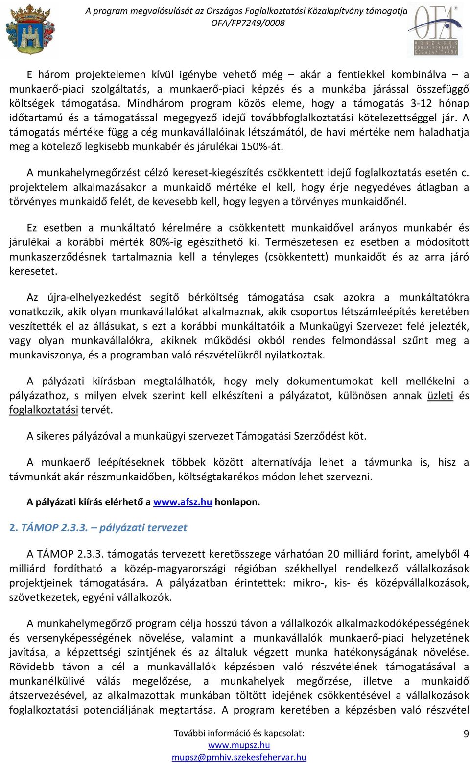 A támogatás mértéke függ a cég munkavállalóinak létszámától, de havi mértéke nem haladhatja meg a kötelező legkisebb munkabér és járulékai 150%-át.