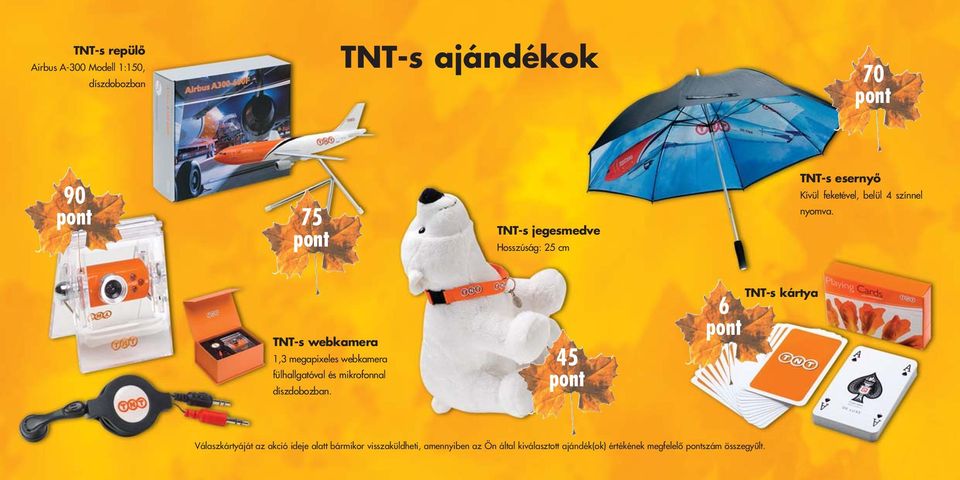 TNT-s webkamera 1,3 megapixeles webkamera fülhallgatóval és mikrofonnal díszdobozban.