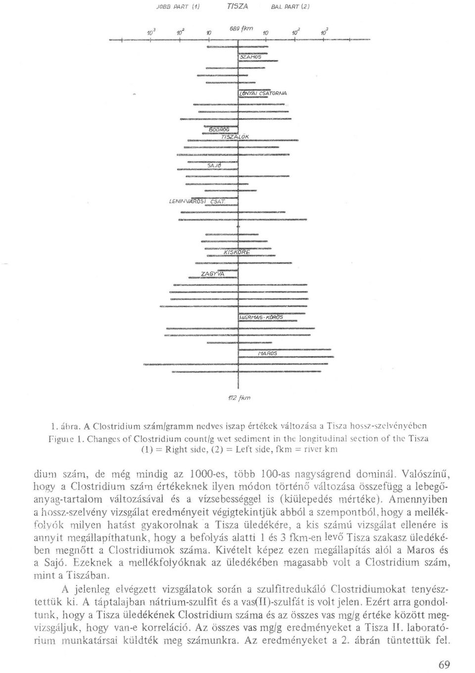 Changcs of Clostridium countfg wct sedi ment in the longitujinal sectio n o f the Tisza (1) = Right side, (2) = Left side, fkm = river km diu!