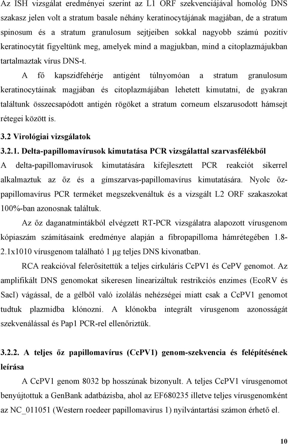 A fő kapszidfehérje antigént túlnyomóan a stratum granulosum keratinocytáinak magjában és citoplazmájában lehetett kimutatni, de gyakran találtunk összecsapódott antigén rögöket a stratum corneum