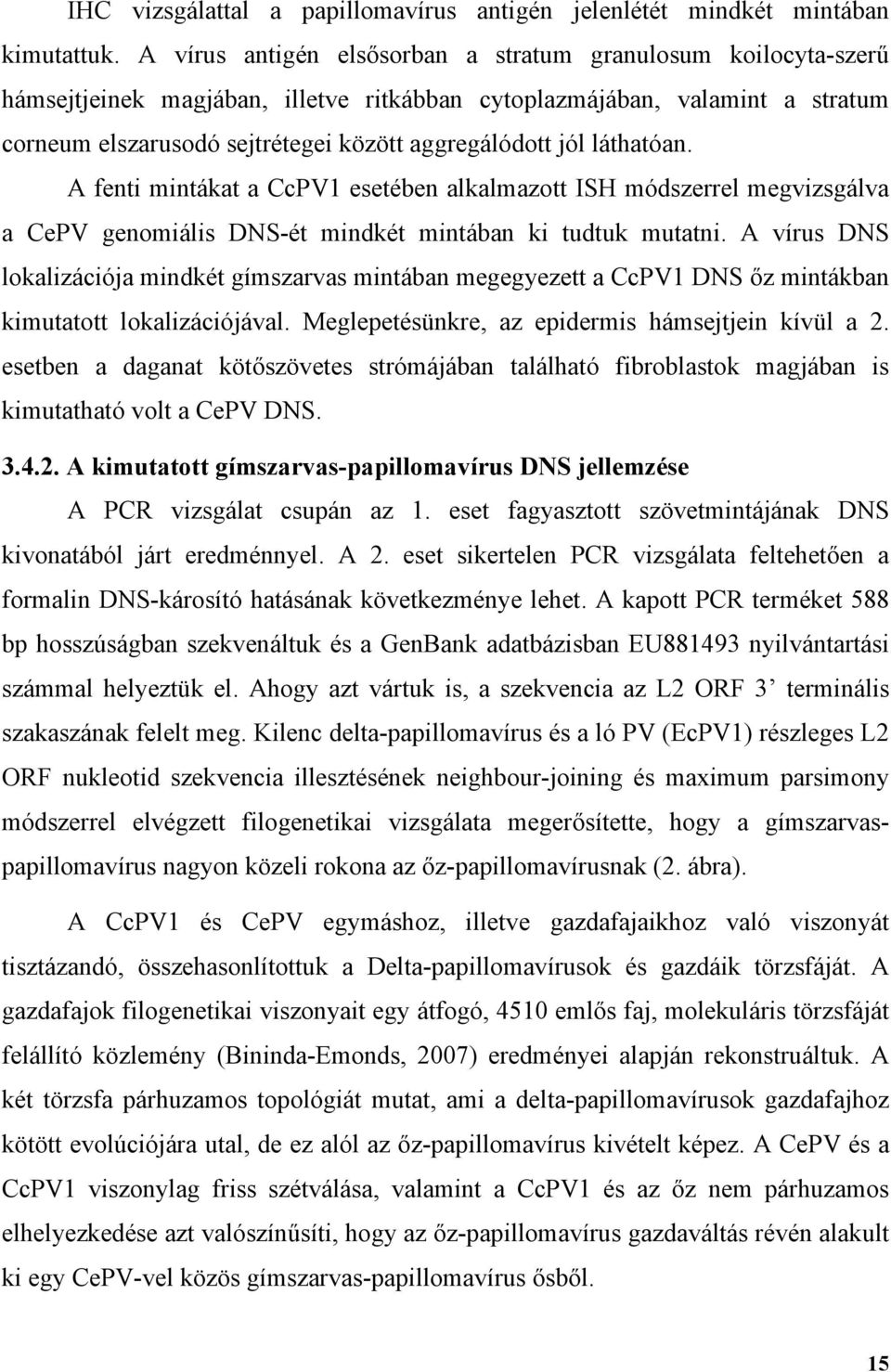 láthatóan. A fenti mintákat a CcPV1 esetében alkalmazott ISH módszerrel megvizsgálva a CePV genomiális DNS-ét mindkét mintában ki tudtuk mutatni.