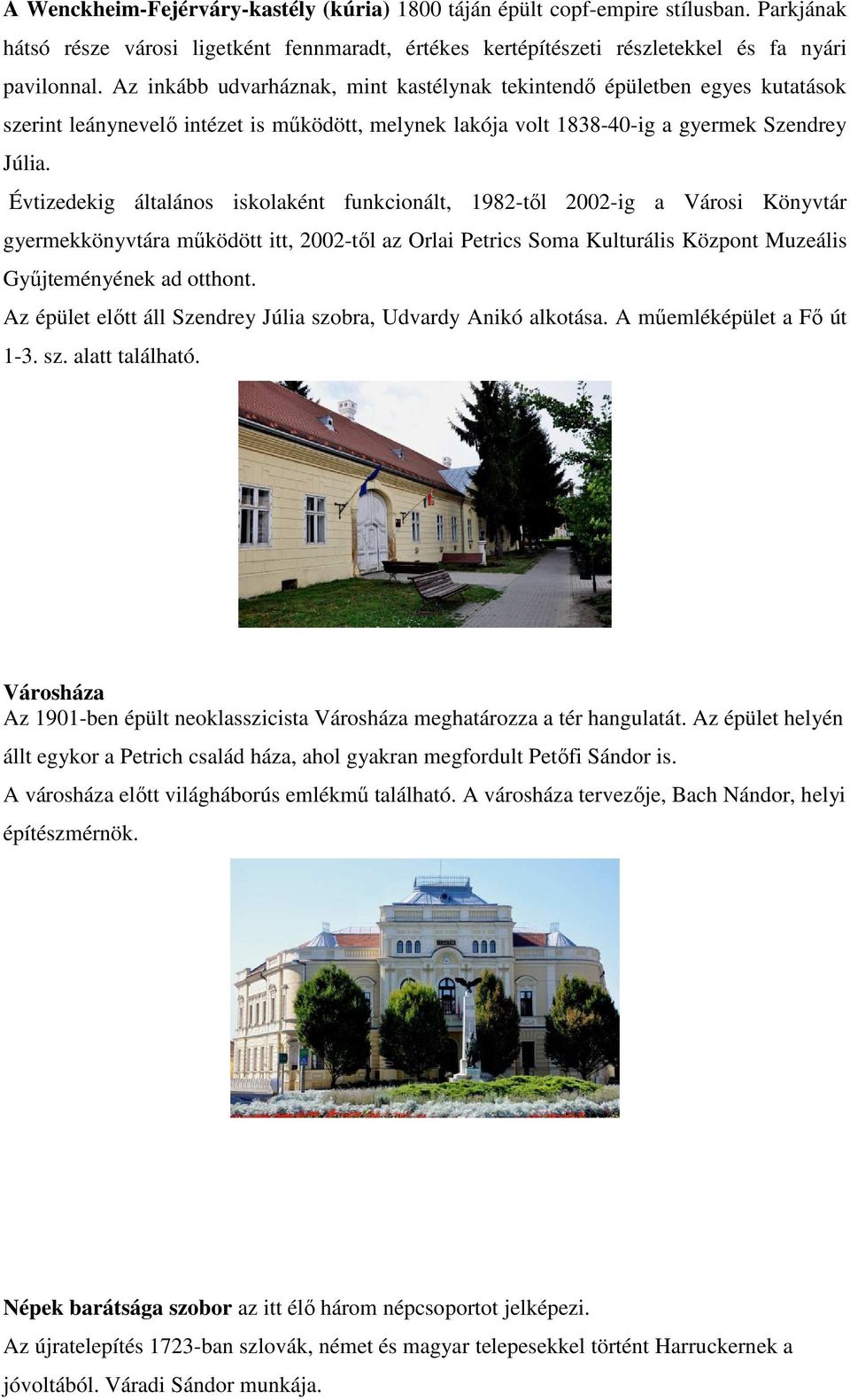 Évtizedekig általános iskolaként funkcionált, 1982-től 2002-ig a Városi Könyvtár gyermekkönyvtára működött itt, 2002-től az Orlai Petrics Soma Kulturális Központ Muzeális Gyűjteményének ad otthont.