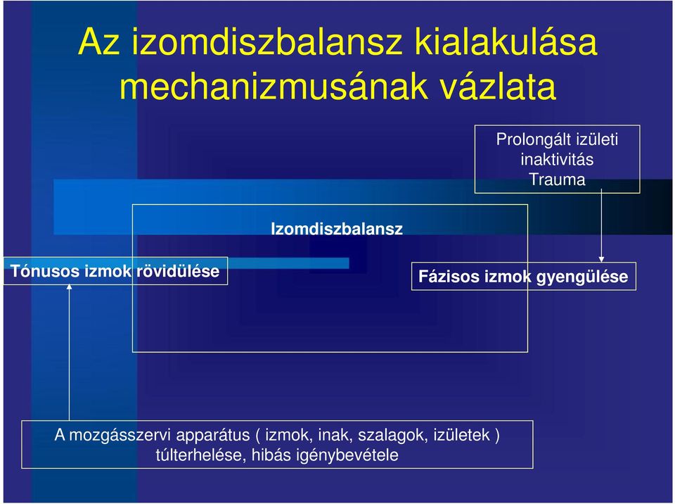 izmok rövidülése Fázisos izmok gyengülése A mozgásszervi