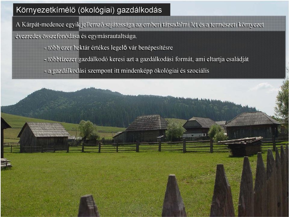 - több ezer hektár értékes legelő vár benépesítésre - többtízezer gazdálkodó keresi azt a