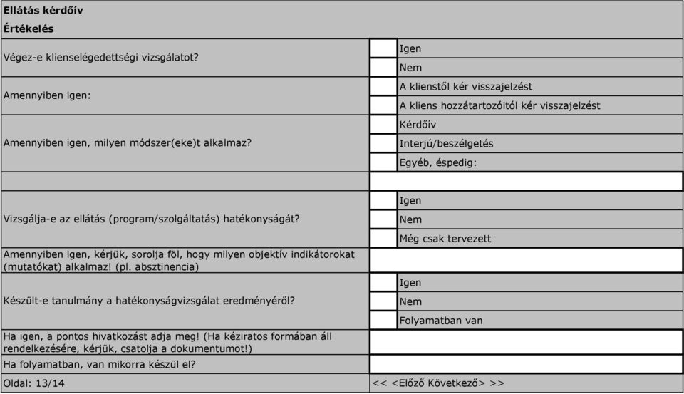 Interjú/beszélgetés Egyéb, éspedig: Igen Vizsgálja-e az ellátás (program/szolgáltatás) hatékonyságát?