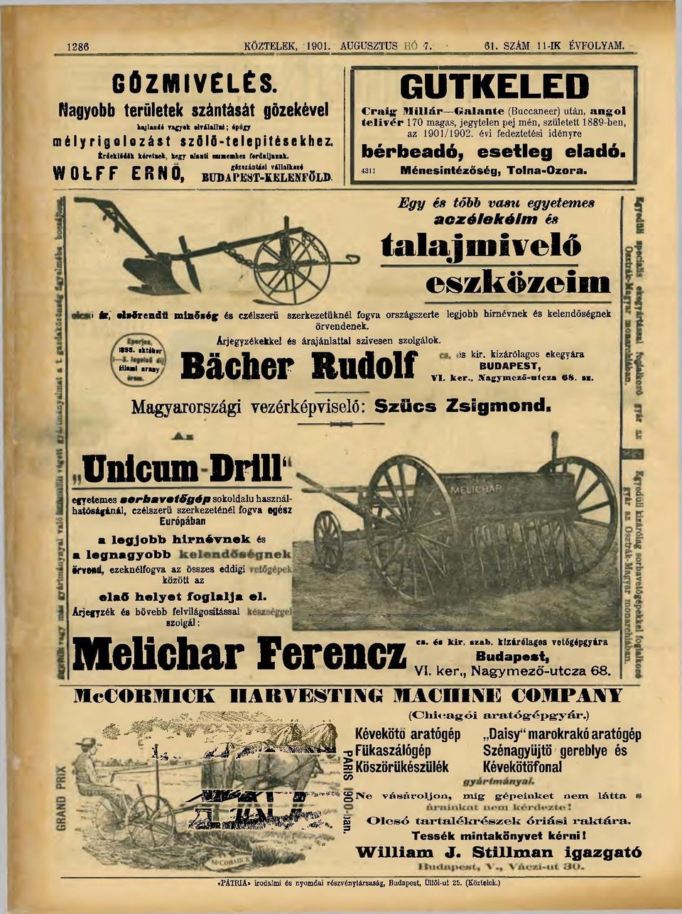 GUTKELED Craig- Mlllár Galante (Buccaneer) után, angol telivér 170 magas, jegytelen pej mén, született 1889-ben, az 1901/1902. évi fedeztetési idényre bérbeadó, esetleg eladó.