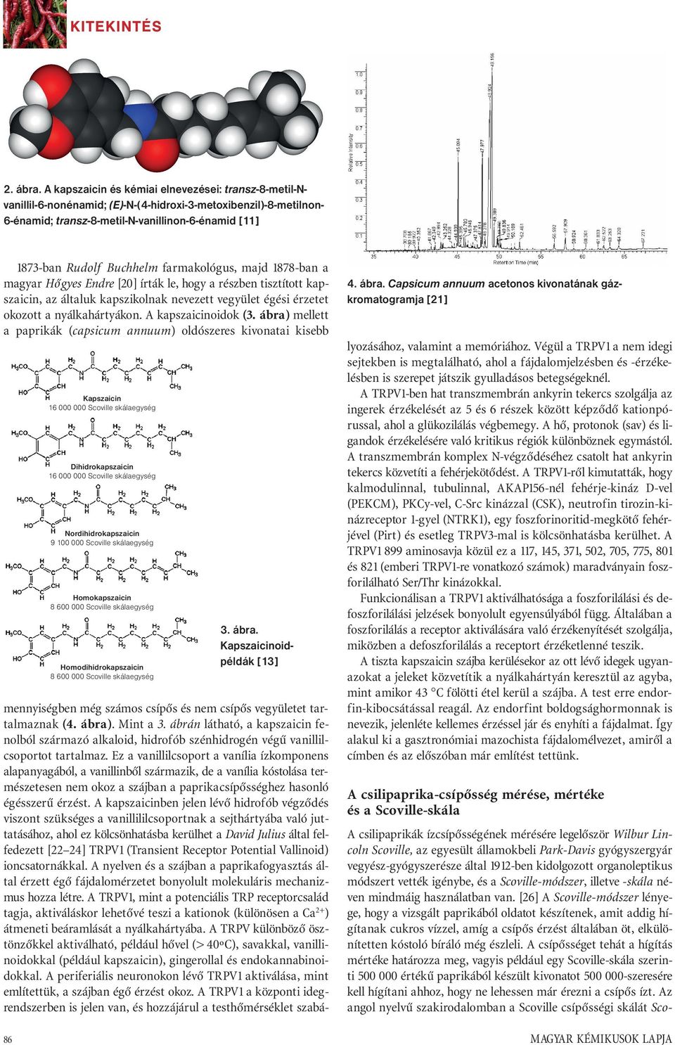 farmakológus, majd 1878-ban a magyar Hőgyes Endre [20] írták le, hogy a részben tisztított kapszaicin, az általuk kapszikolnak nevezett vegyület égési érzetet okozott a nyálkahártyákon.