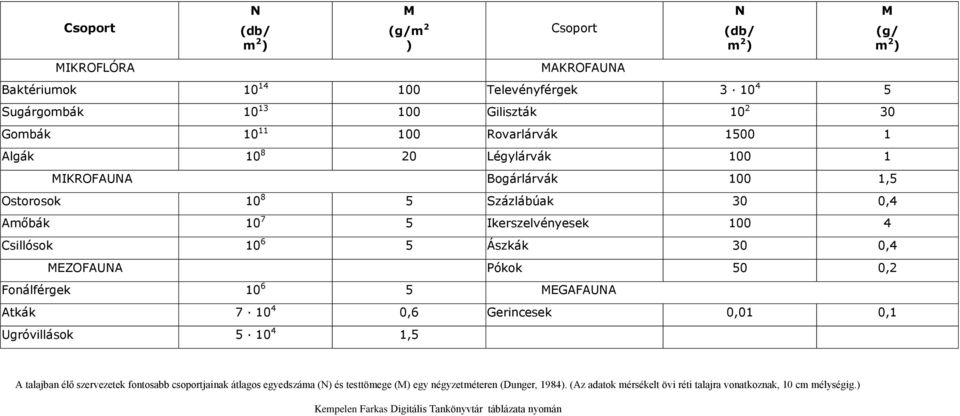 0,2 Fonálférgek 10 6 5 MEGAFAUNA Atkák 7 10 4 0,6 Gerincesek 0,01 0,1 Ugróvillások 5 10 4 1,5 N (db/ m 2 ) M (g/ m 2 ) A talajban élő szervezetek fontosabb csoportjainak átlagos