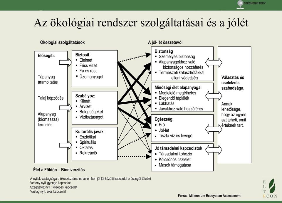 Alapanyagokhoz való biztonságos hozzáférés Természeti katasztrófákkal elleni védettség Minőségi élet alapanyagai Megfelelő megélhetés Elegendő táplálék Lakhatás Javakhoz való hozzáférés Egészség: Erő