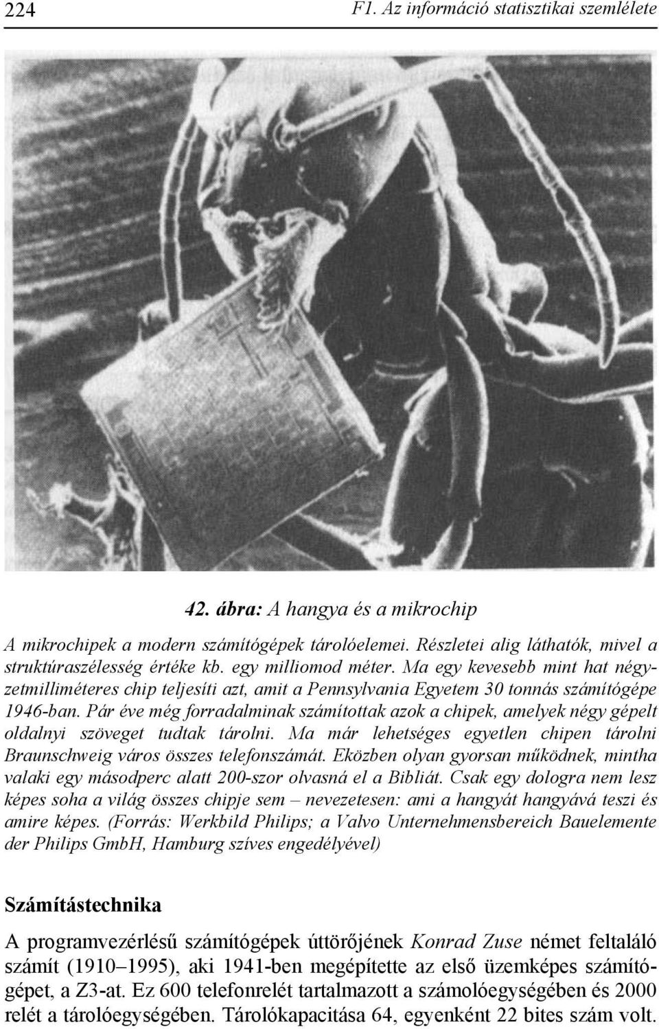 Pár éve még forradalminak számítottak azok a chipek, amelyek négy gépelt oldalnyi szöveget tudtak tárolni. Ma már lehetséges egyetlen chipen tárolni Braunschweig város összes telefonszámát.