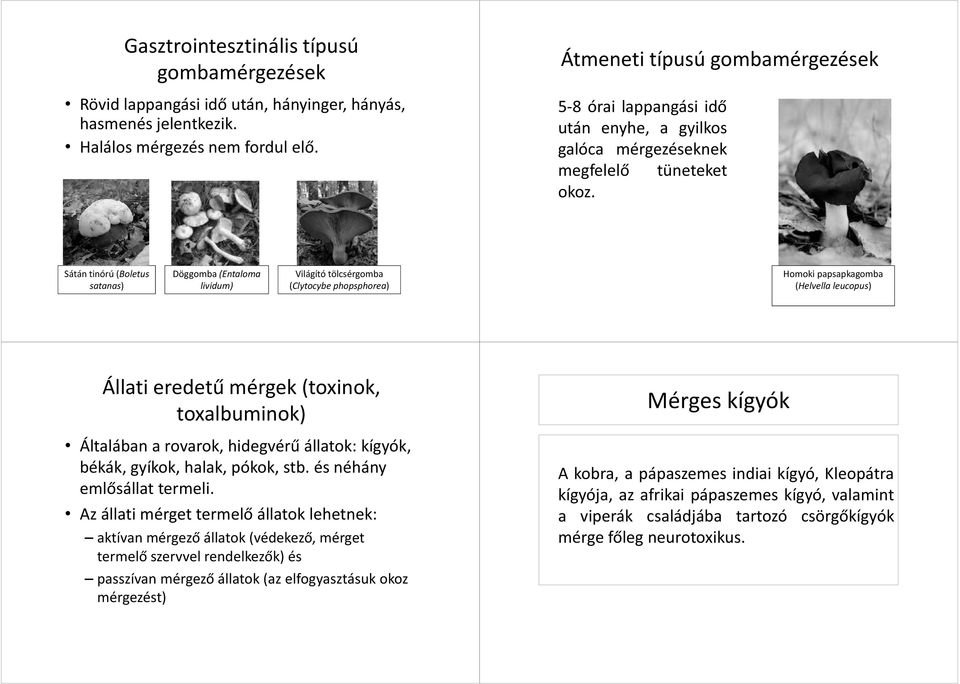 Sátán tinórú(boletus satanas) Döggomba (Entaloma lividum) Világító tölcsérgomba (Clytocybe phopsphorea) Homoki papsapkagomba (Helvella leucopus) Állati eredetű mérgek (toxinok, toxalbuminok)