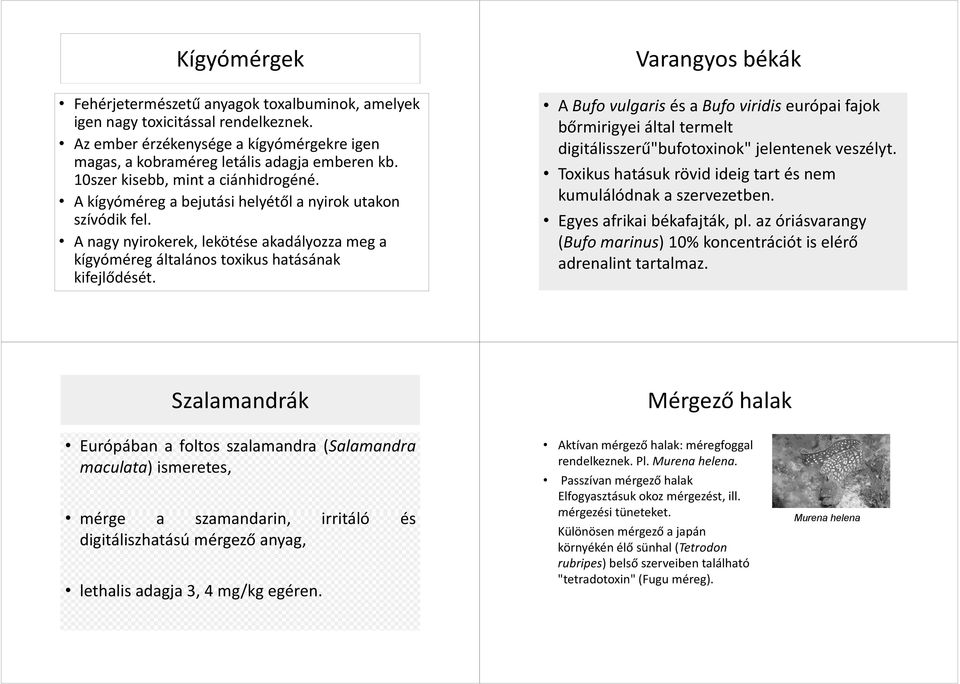 Varangyos békák ABufo vulgaris és a Bufo viridis európai fajok bőrmirigyei által termelt digitálisszerű"bufotoxinok" jelentenek veszélyt.