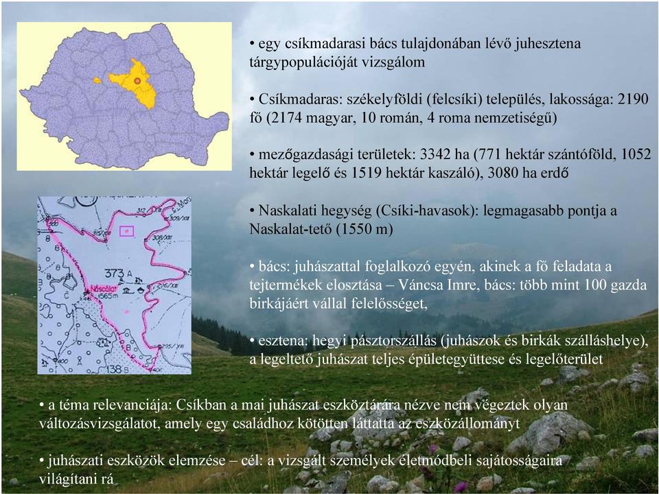 juhászattal foglalkozó egyén, akinek a fő feladata a tejtermékek elosztása Váncsa Imre, bács: több mint 100 gazda birkájáért vállal felelősséget, esztena: hegyi pásztorszállás (juhászok és birkák