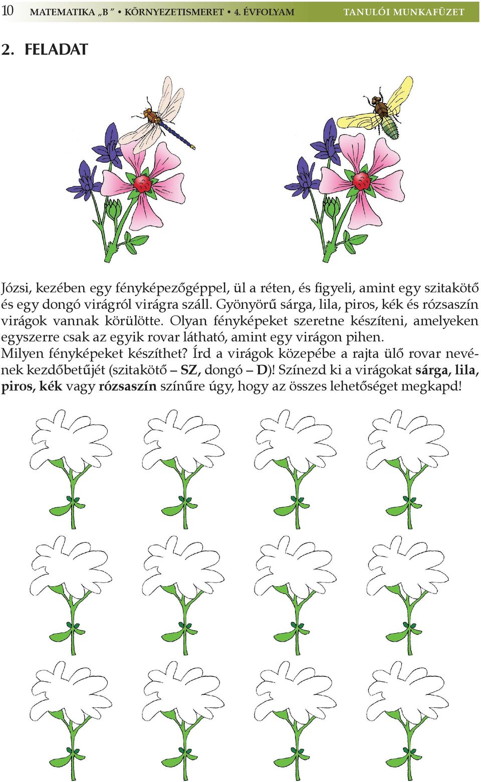 Gyönyörű sárga, lila, piros, kék és rózsaszín virágok vannak körülötte.