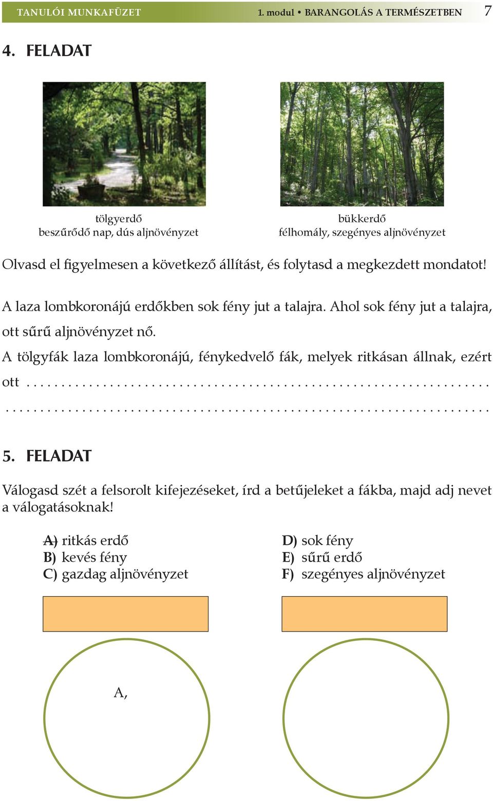 A laza lombkoronájú erdőkben sok fény jut a talajra. Ahol sok fény jut a talajra, ott sűrű aljnövényzet nő. A tölgyfák laza lombkoronájú, fénykedvelő fák, melyek ritkásan állnak, ezért ott........................................................................................................................................ 5.