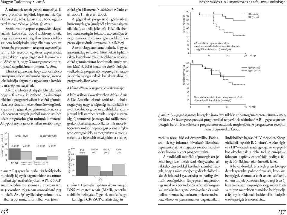 , 2007) azt bizonyították, hogy a garat- és szájüregrákos betegek túlélését nem befolyásolta szignifikánsan sem az ösztrogén-progeszteron receptor expresszió ja, sem a két receptor együttes