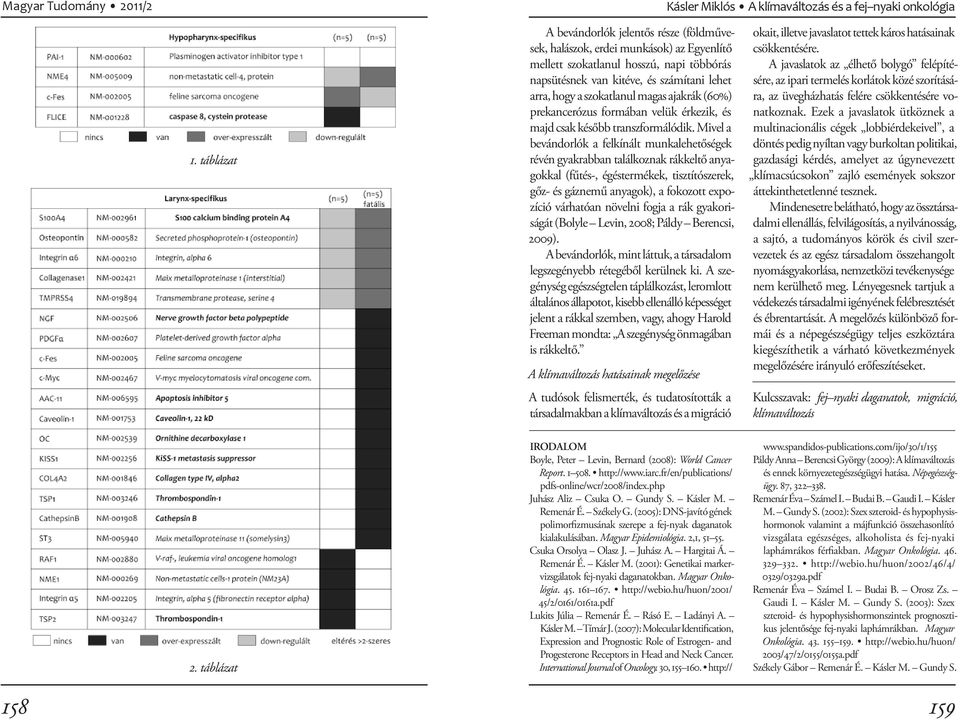 szokatlanul magas ajakrák (60%) prekancerózus formában velük érkezik, és majd csak később transzformálódik.