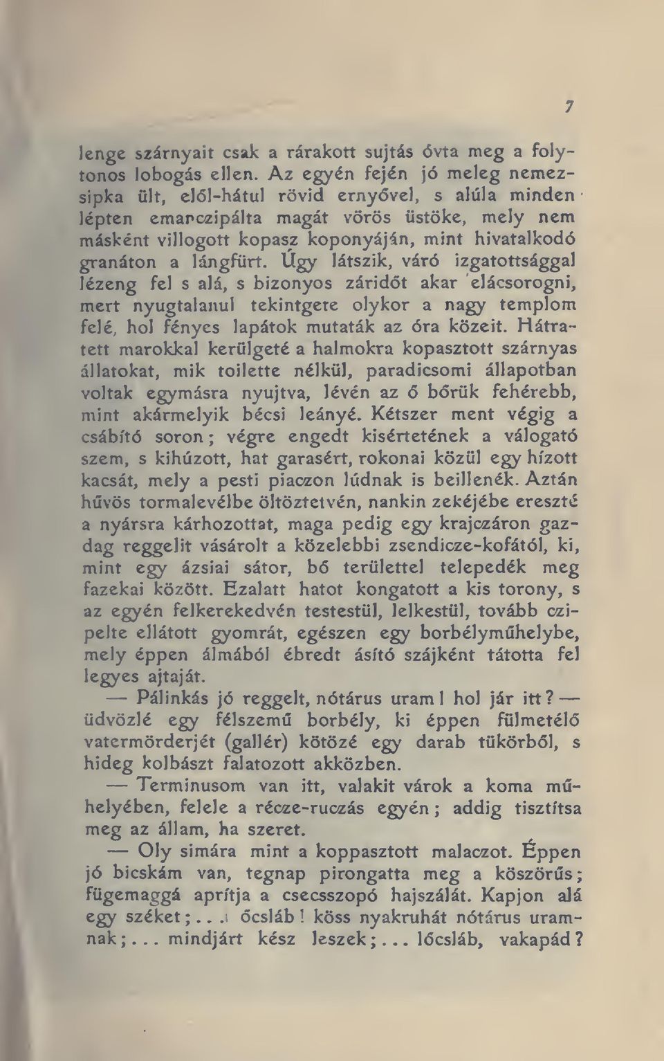 lángfürt. Úgy látszik, váró izgatottsággal lézeng fel s alá, s bizonyos záridt akar elácsorogni, mert nyugtalanul tekintgete olykor a nagy templom felé hol fényes lapátok mutaták az óra közeit.