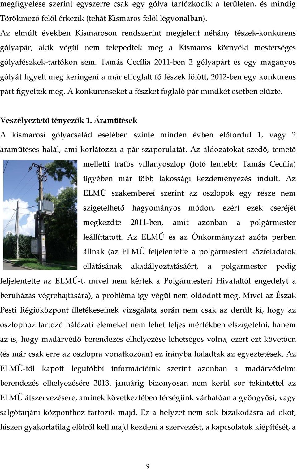 Tamás Cecília 2011-ben 2 gólyapárt és egy magányos gólyát figyelt meg keringeni a már elfoglalt fő fészek fölött, 2012-ben egy konkurens párt figyeltek meg.