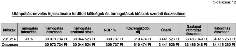Szakmai ráfordítás Ráfordítás 2013/14 90 % 30 973 734 Ft 30 044 523 Ft 309 737 Ft 619 474 Ft 3 441 526 Ft 33
