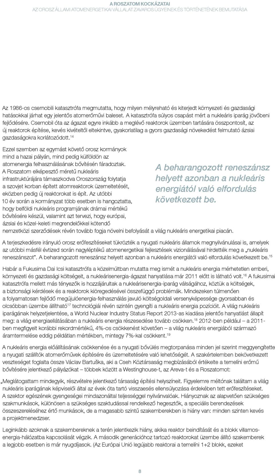 Csernobil óta az ágazat egyre inkább a meglévő reaktorok üzemben tartására összpontosít, az új reaktorok építése, kevés kivételtől eltekintve, gyakorlatilag a gyors gazdasági növekedést felmutató