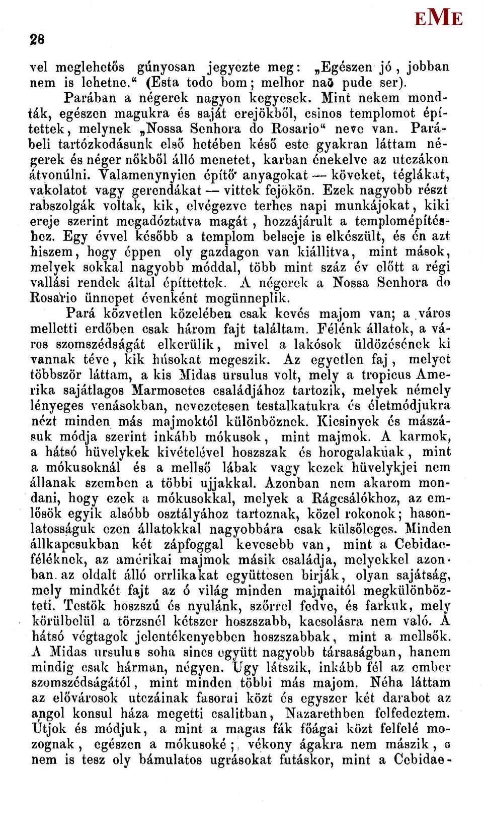 Parábeli tartózkodásunk elaő hetében késő este gyakran láttam négerek és néger nőkből álló menetet, karban énekelve az utczákon átvonúlni.