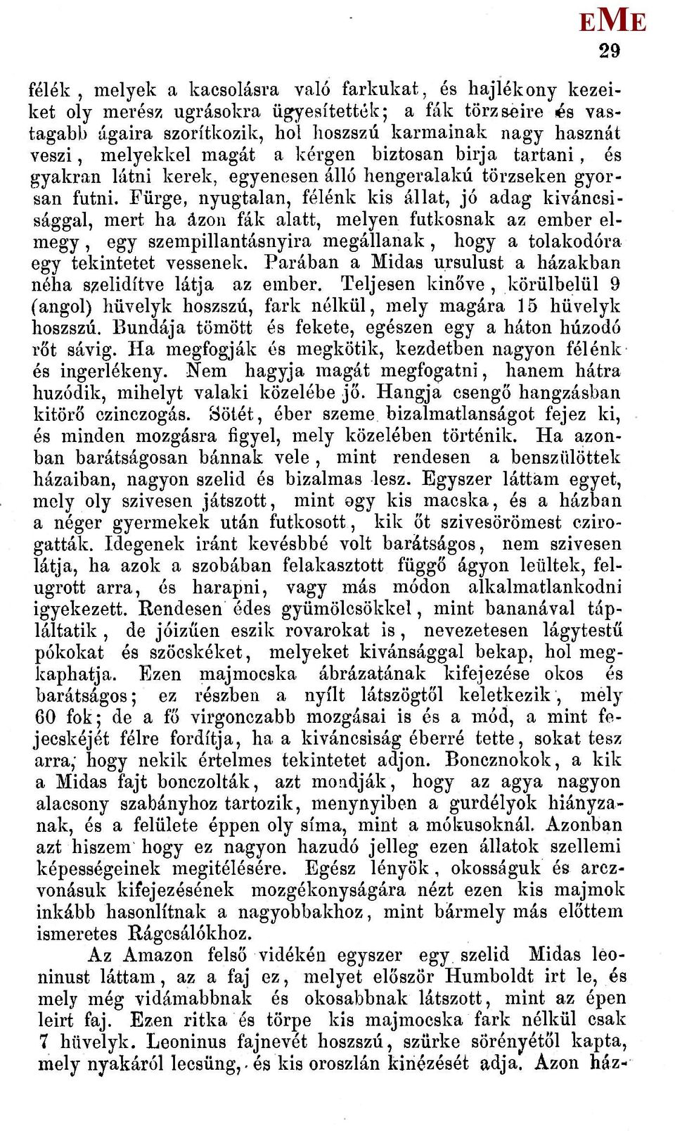 Fürge, nyugtalan, félénk kis állat, jó adag kíváncsisággal, mert ha ázon fák alatt, melyen futkosnak az ember elmegy, egy szempillantásnyira megállanak, hogy a tolakodóra egy tekintetet vessenek.