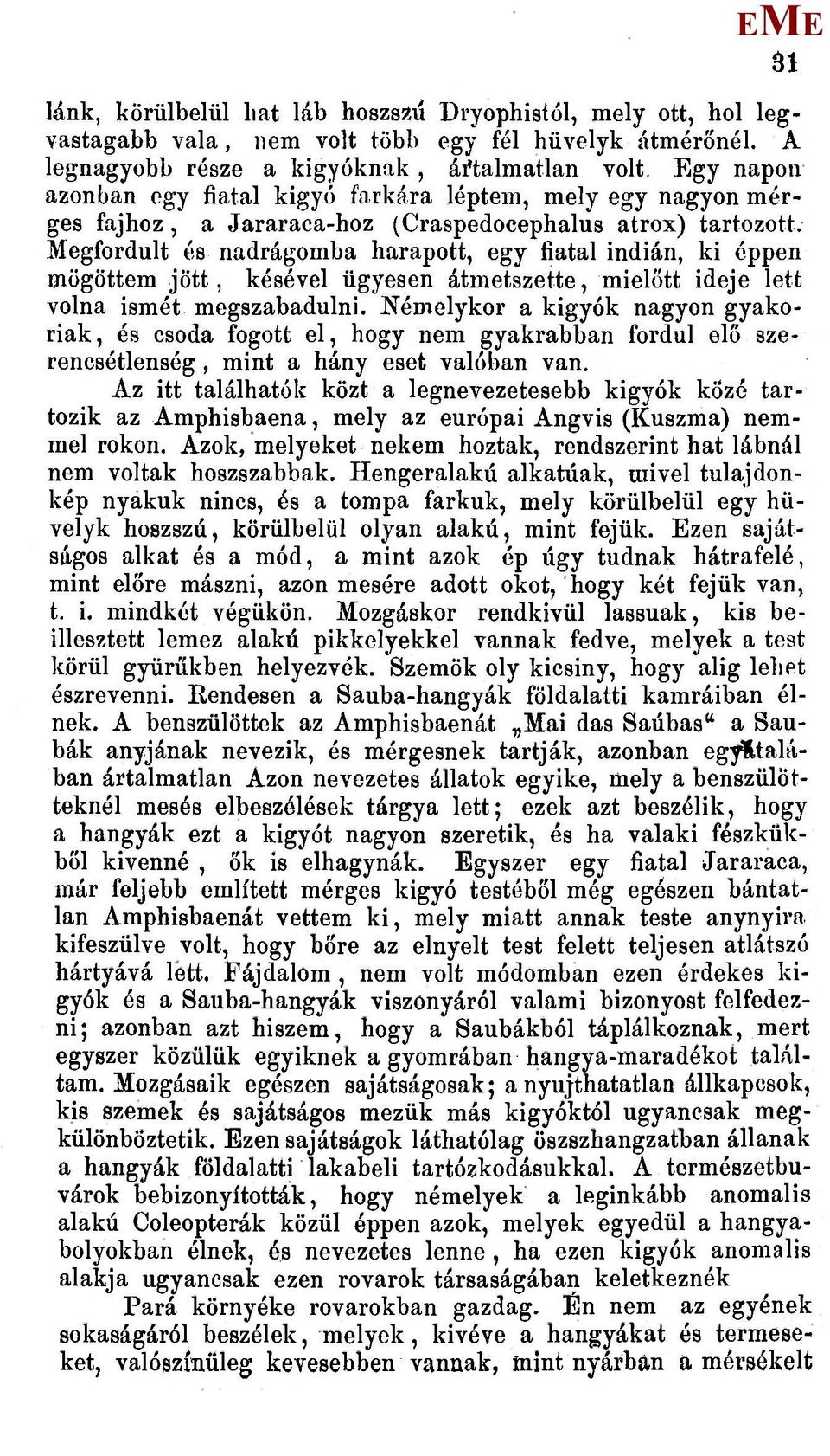 egfordult és nadrágomba harapott, egy fiatal indián, ki éppen mögöttem jött, késével ügyesen átmetszette, mielőtt ideje lett volna ismét megszabadulni.