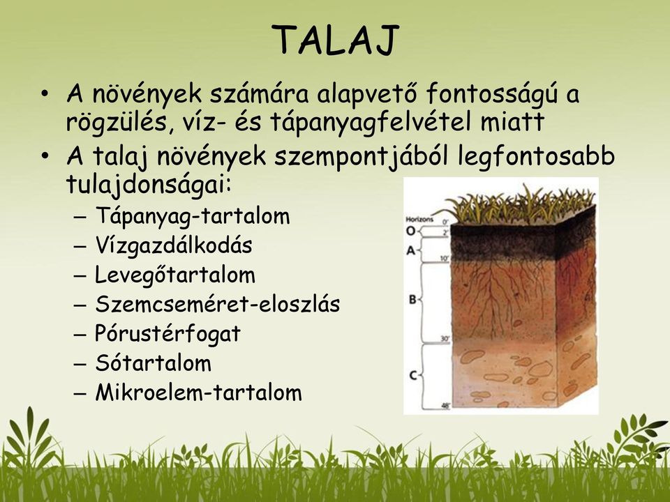 legfontosabb tulajdonságai: Tápanyag-tartalom Vízgazdálkodás