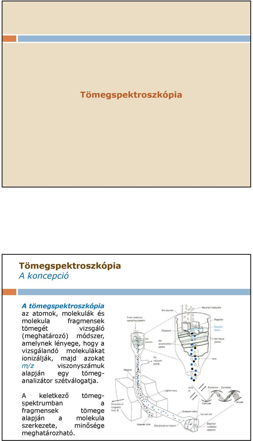 molekulákat ionizálják, majd azokat m/z viszonyszámuk alapján egy tömeg- analizátor szétválogatja.