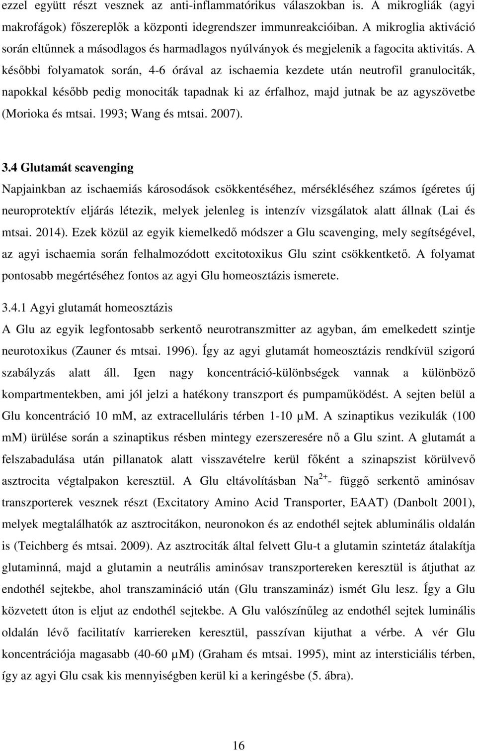 A későbbi folyamatok során, 4-6 órával az ischaemia kezdete után neutrofil granulociták, napokkal később pedig monociták tapadnak ki az érfalhoz, majd jutnak be az agyszövetbe (Morioka és mtsai.