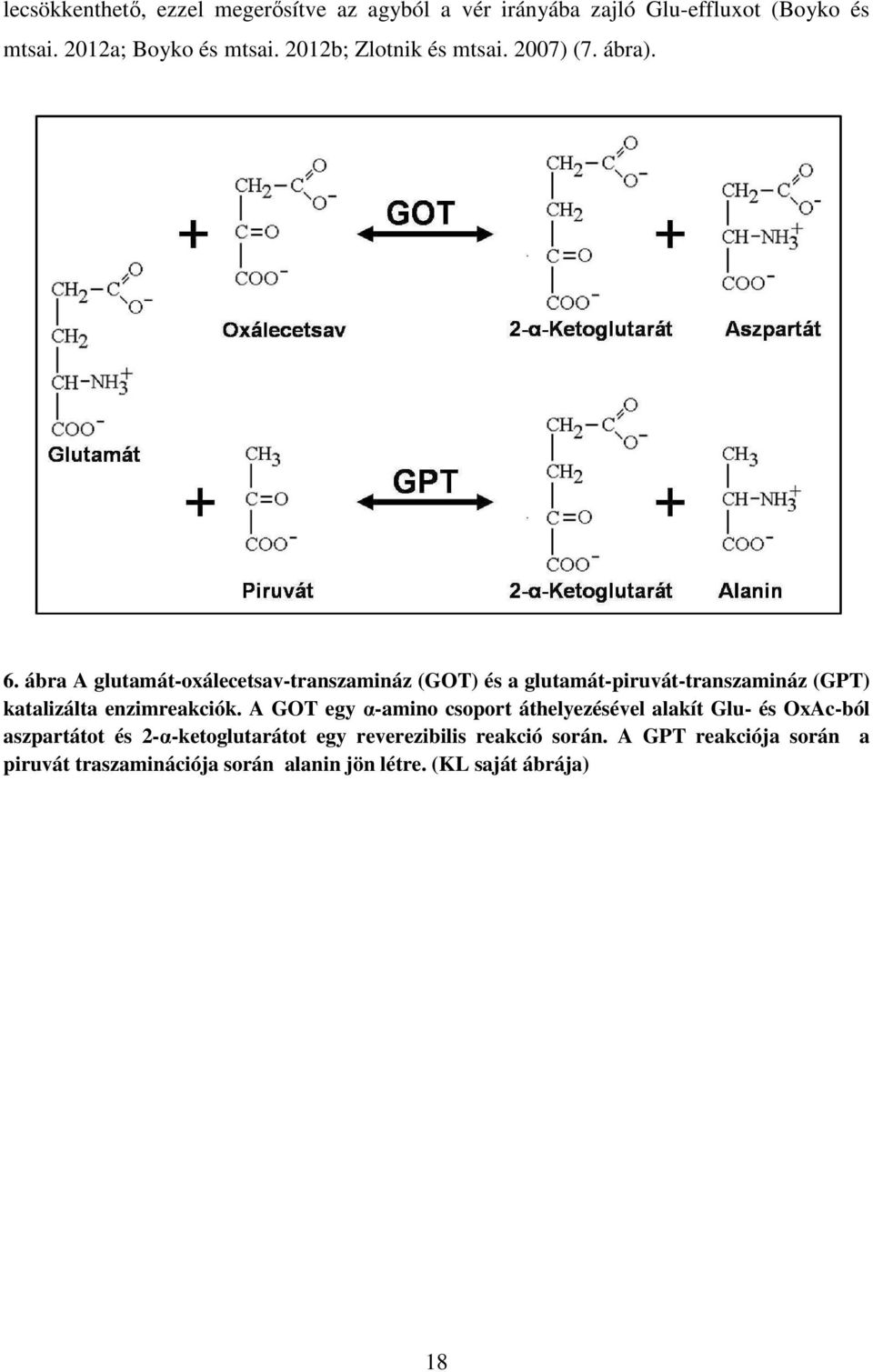 ábra A glutamát-oxálecetsav-transzamináz (GOT) és a glutamát-piruvát-transzamináz (GPT) katalizálta enzimreakciók.