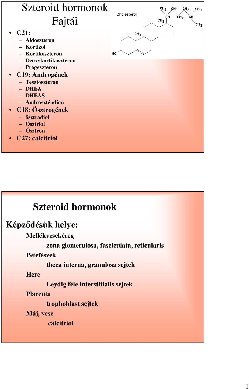 calcitriol Szteroid hormonok Képződésük helye: Mellékvesekéreg zona glomerulosa, fasciculata, reticularis