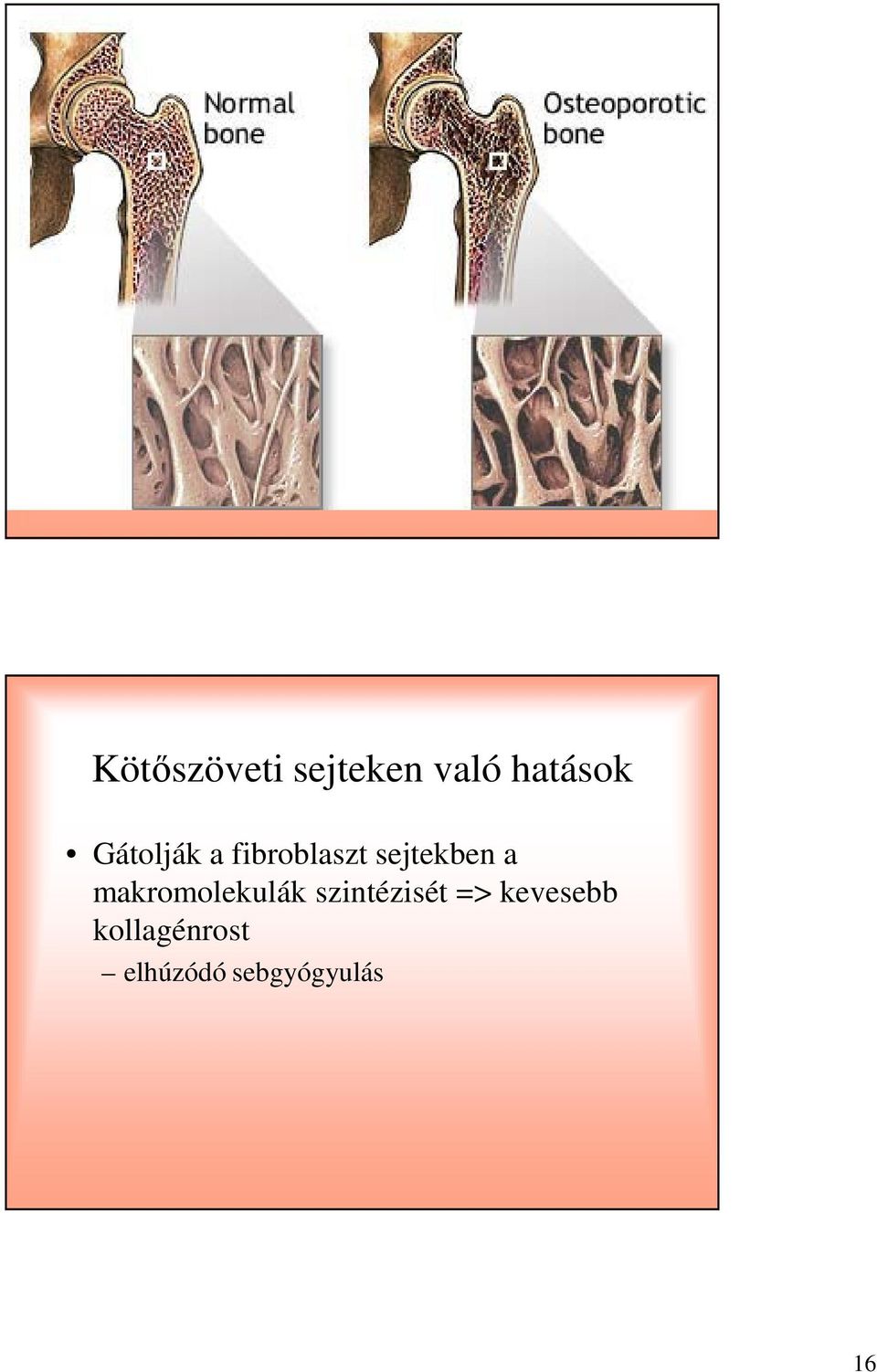 makromolekulák szintézisét =>