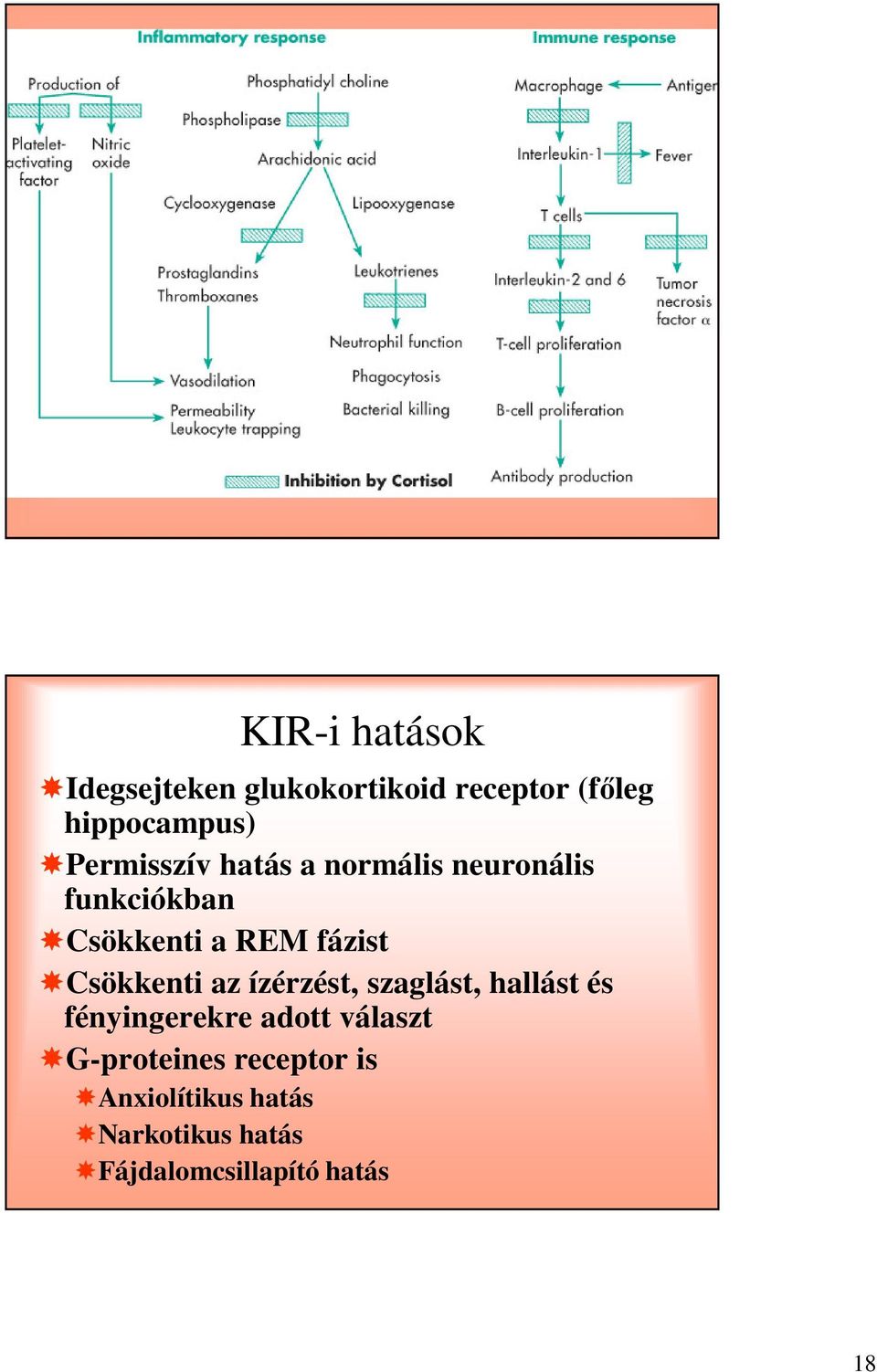 Csökkenti az ízérzést, szaglást, hallást és fényingerekre adott választ