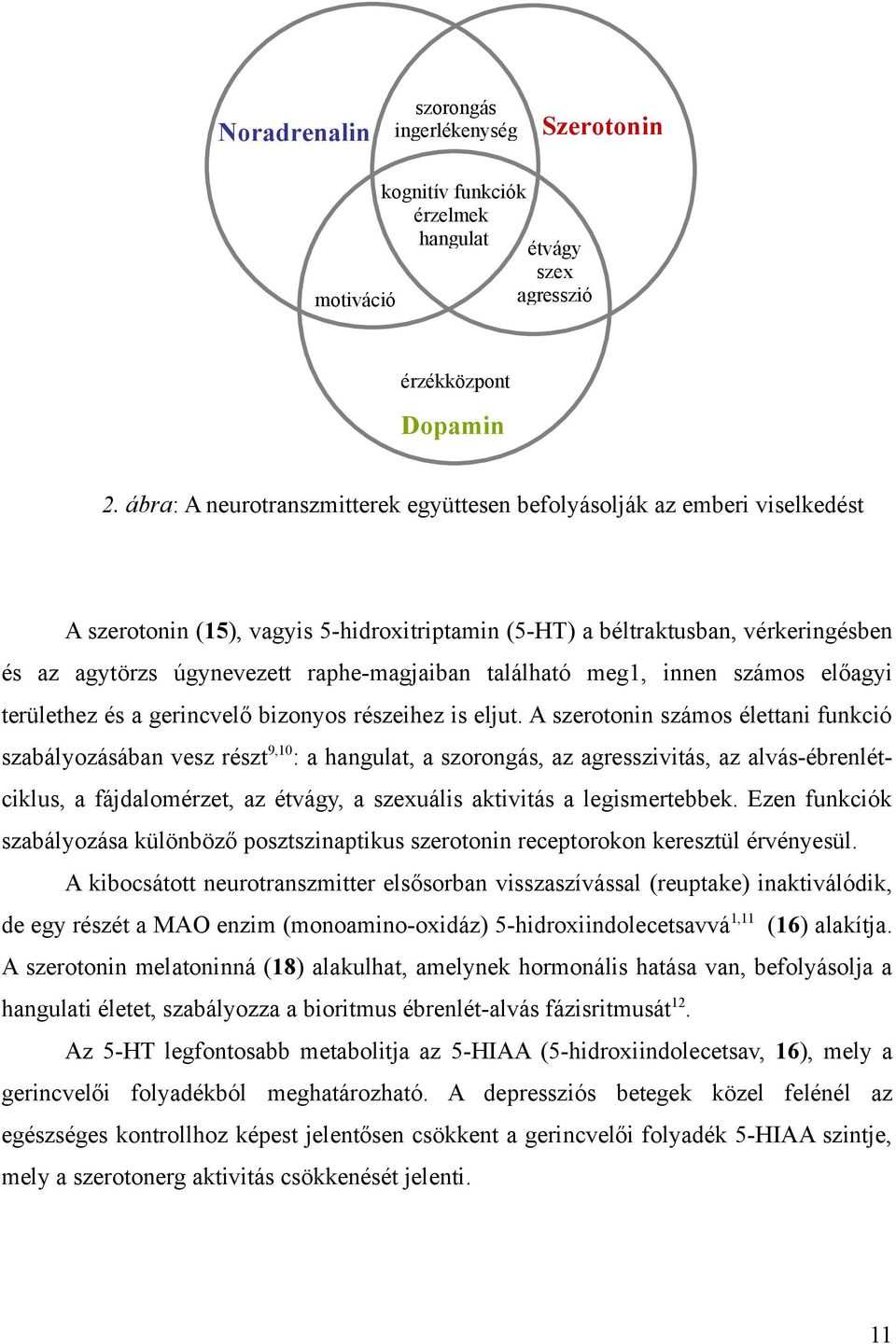 raphe-magjaiban található meg1, innen számos előagyi területhez és a gerincvelő bizonyos részeihez is eljut.