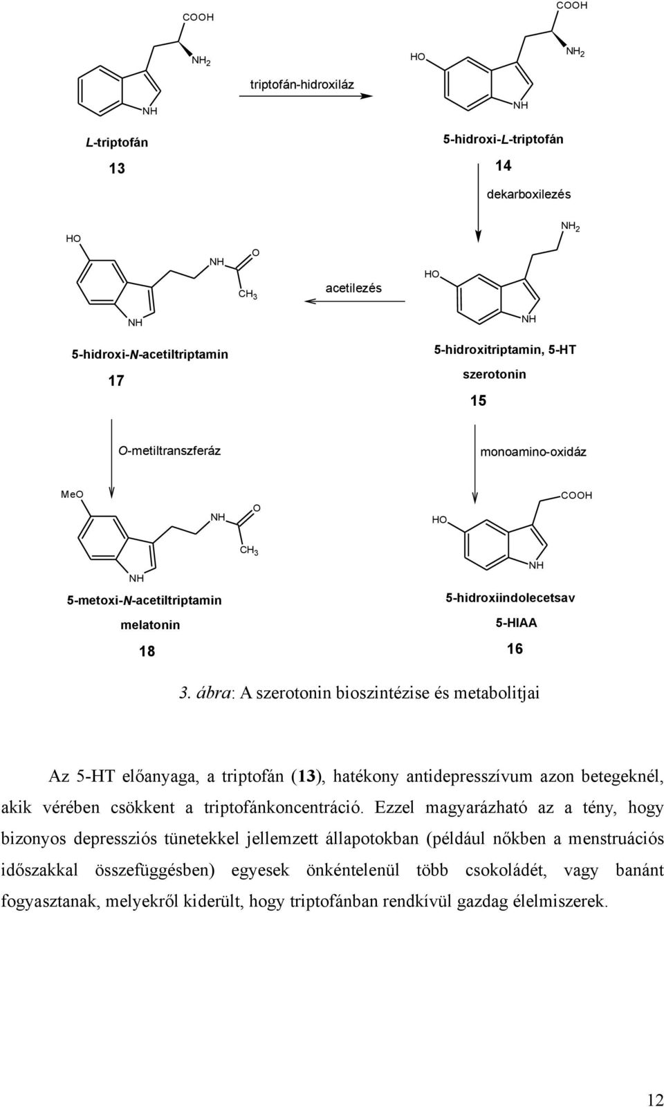 ábra: A szerotonin bioszintézise és metabolitjai Az 5-T előanyaga, a triptofán (13), hatékony antidepresszívum azon betegeknél, akik vérében csökkent a triptofánkoncentráció.