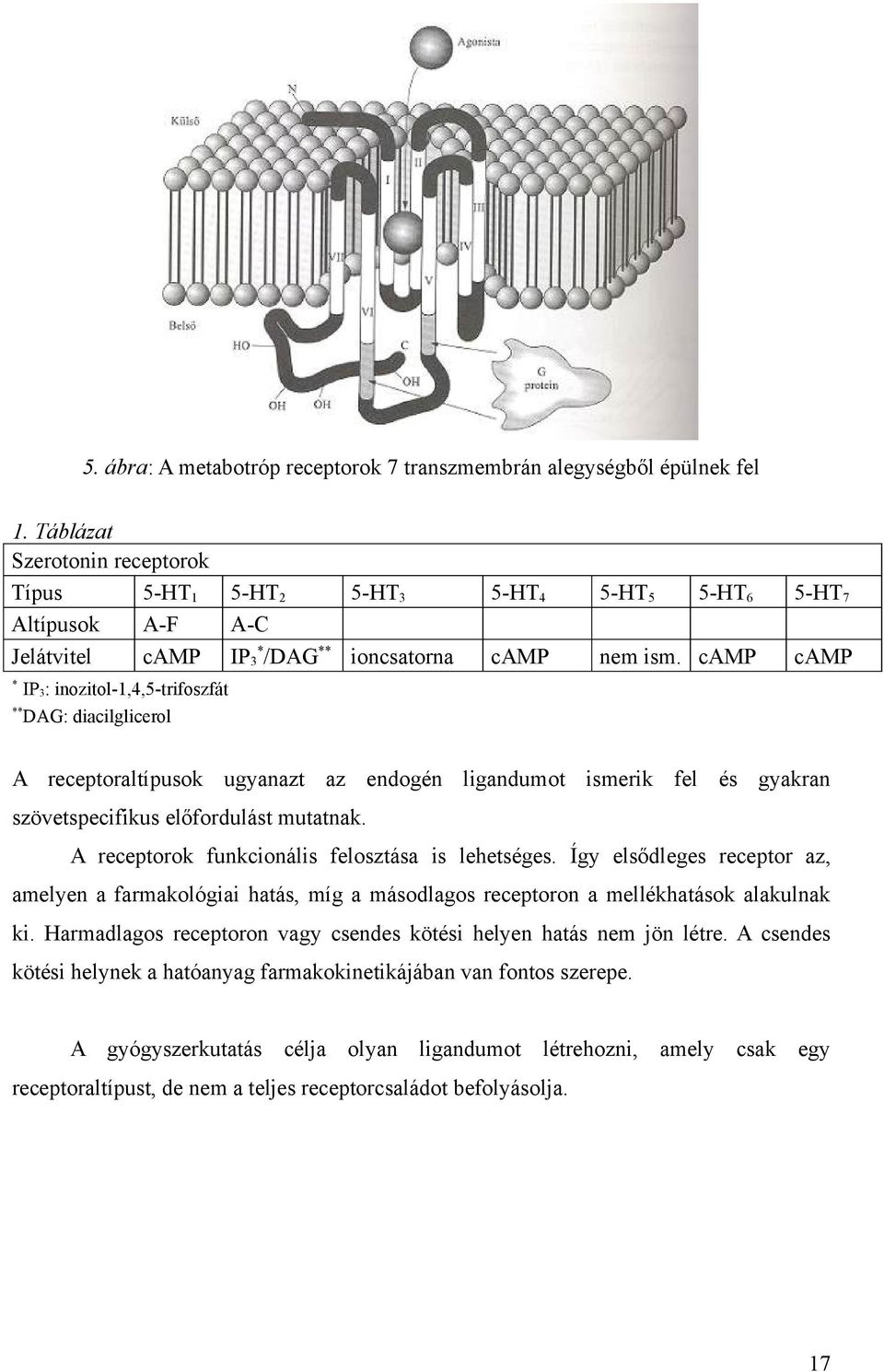 camp camp * IP 3: inozitol-1,4,5-trifoszfát ** DAG: diacilglicerol A receptoraltípusok ugyanazt az endogén ligandumot ismerik fel és gyakran szövetspecifikus előfordulást mutatnak.