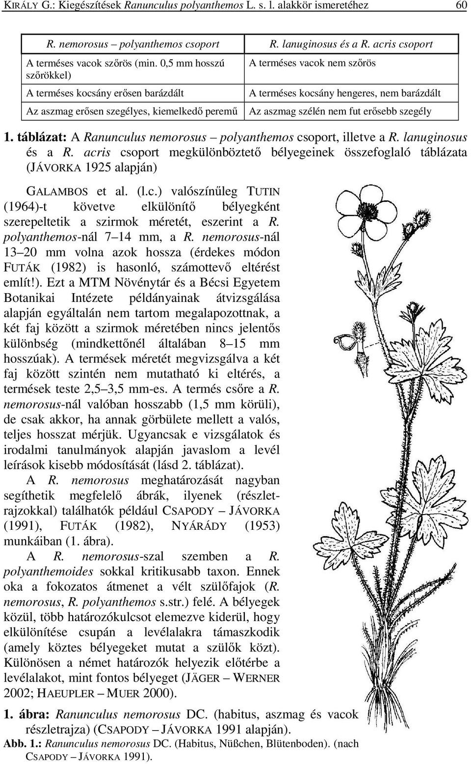 fut erısebb szegély 1. táblázat: A Ranunculus nemorosus polyanthemos csoport, illetve a R. lanuginosus és a R.