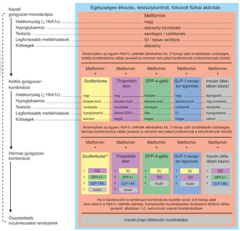 Milyen szempontokat mérlegeljünk a metformint követő antidiabetikus kezelés során? A beteg foglalkozása, életvitele. A beteg anyagi lehetőségei.