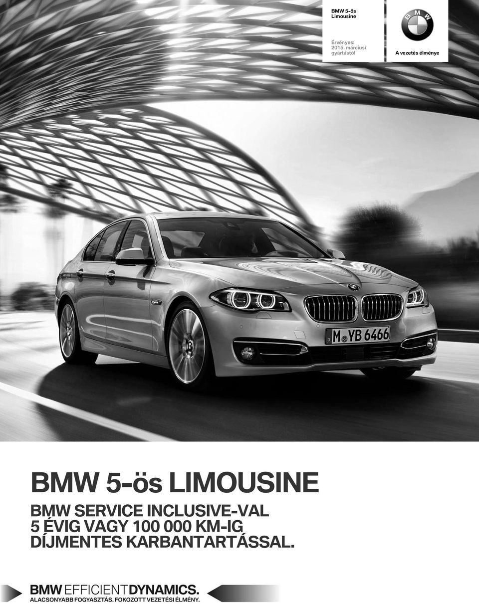 5-ös LIMOUSINE BMW SERVICE INCLUSIVE-VaL 5