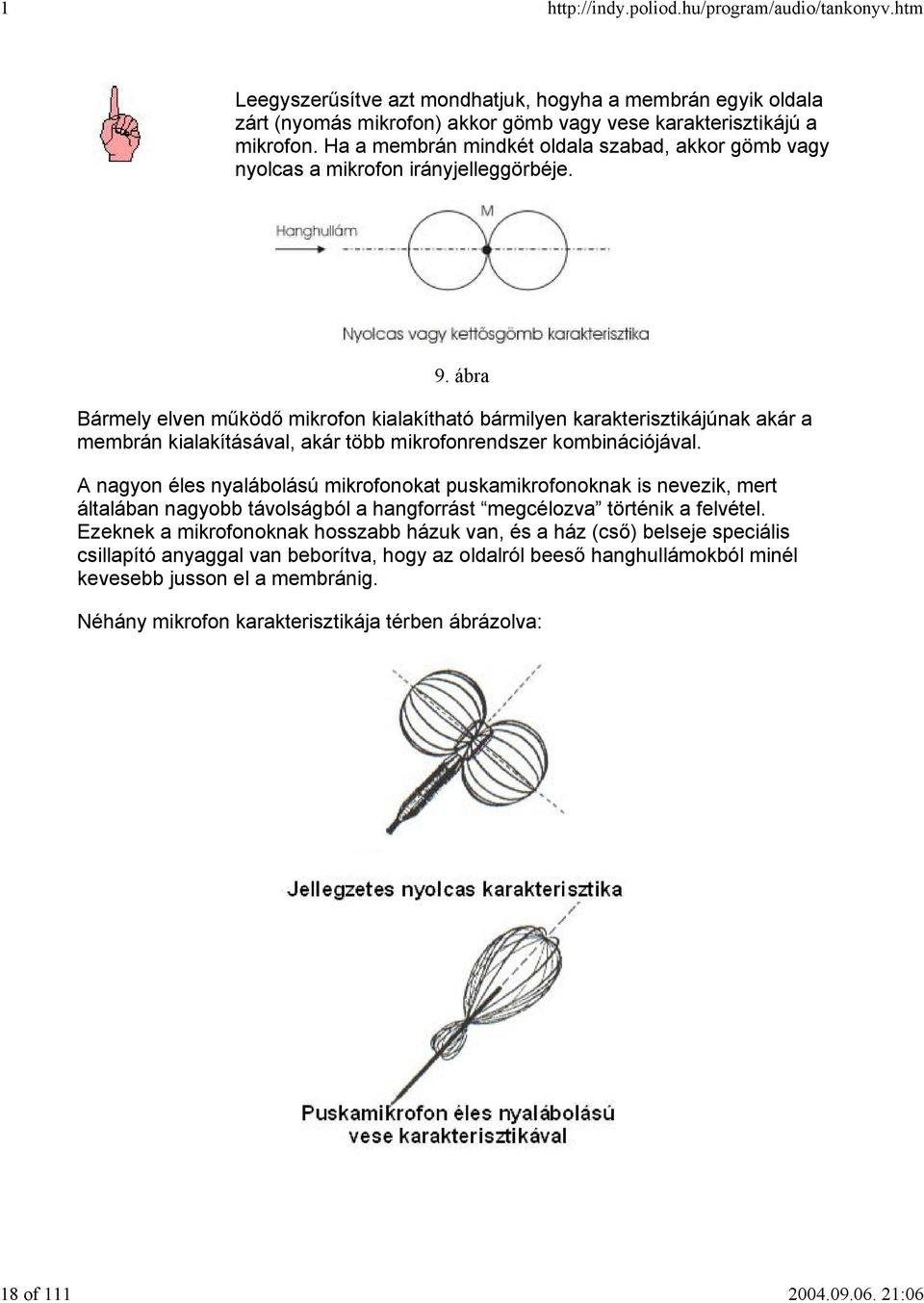 ábra Bármely elven működő mikrofon kialakítható bármilyen karakterisztikájúnak akár a membrán kialakításával, akár több mikrofonrendszer kombinációjával.