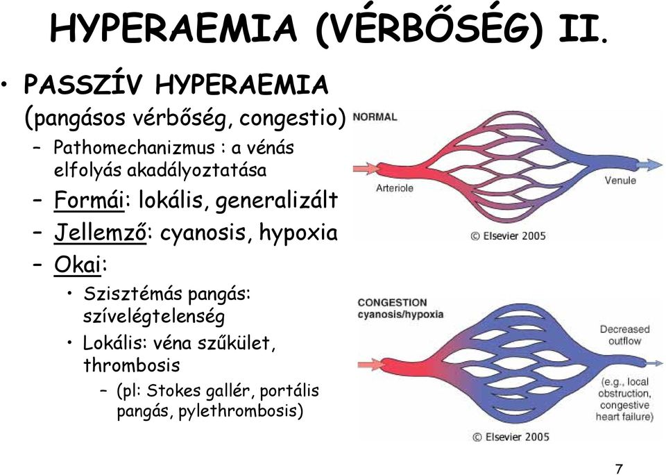 elfolyás akadályoztatása Formái: lokális, generalizált Jellemző: cyanosis,